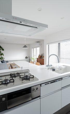 Simple modern style kitchen in white